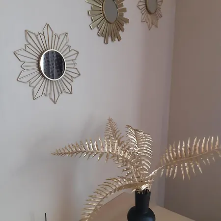 Appartement Beau Prado Parc Piscine Stade Marseille
